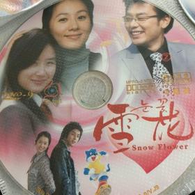 光碟DVD韩剧雪花