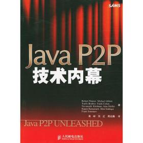 Java P2P技术内幕