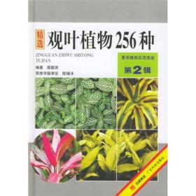 精选观叶植物256种9787535923929