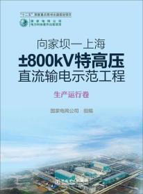 向家坝-上海±800kV特高压直流输电示范工程：生产运行卷