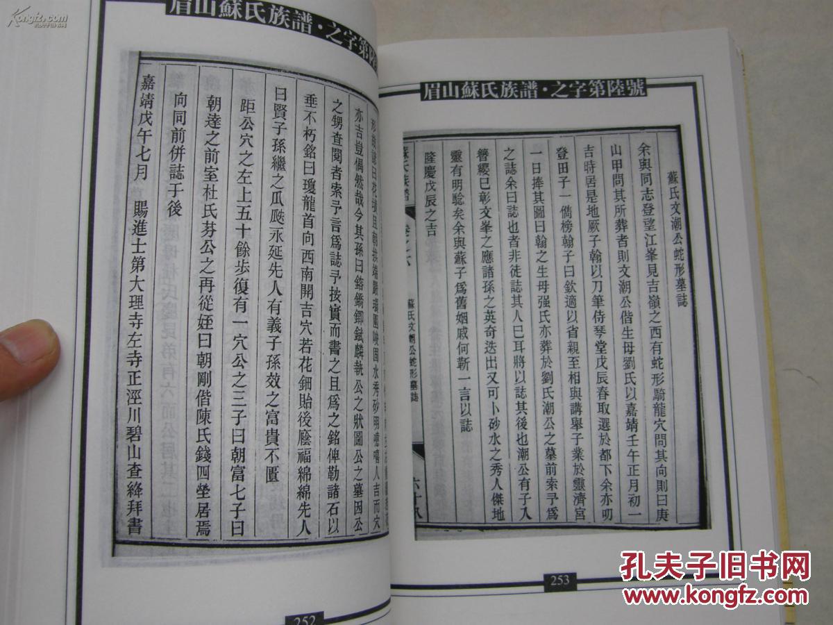 新编苏氏总族谱(第八册)眉山苏氏族谱(16开厚册)