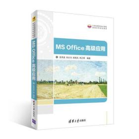 MS Office高级应用