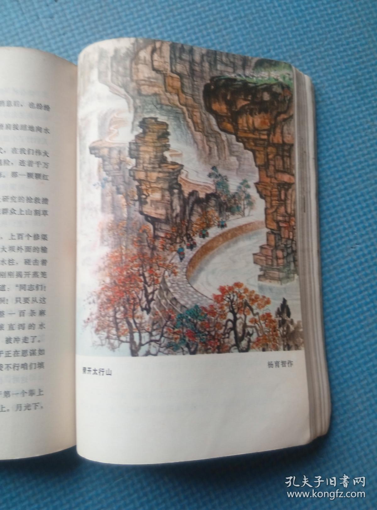 红旗渠颂林县红旗渠报告文学集彩色插图广济县武穴中学图书室