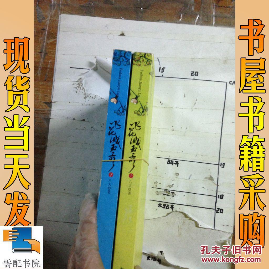 飞花溅玉录(上下) 共2本 合售