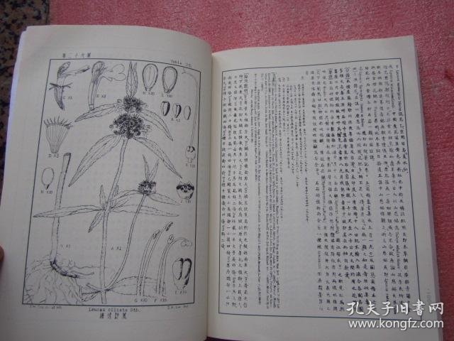 《滇南本草图谱》(大16开插原图.