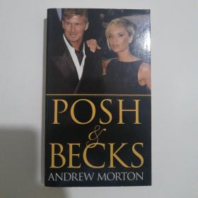 Posh & Becks 英文原版