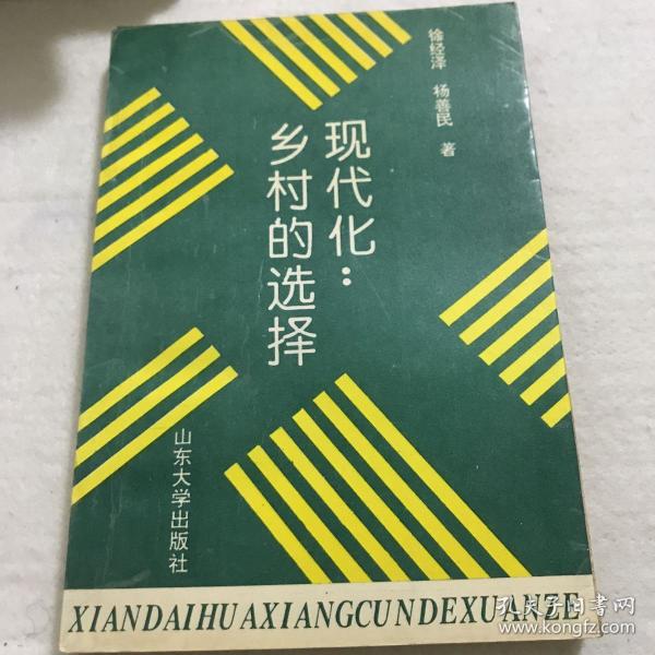现代化:乡村的选择_徐经泽 杨善民_孔夫子旧书网