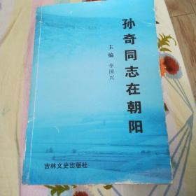 孙奇同志在朝阳 (一版一印，仅印2500册， 561页】