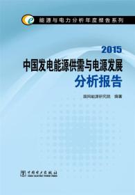 中国发电能源供需与电源发展分析报告