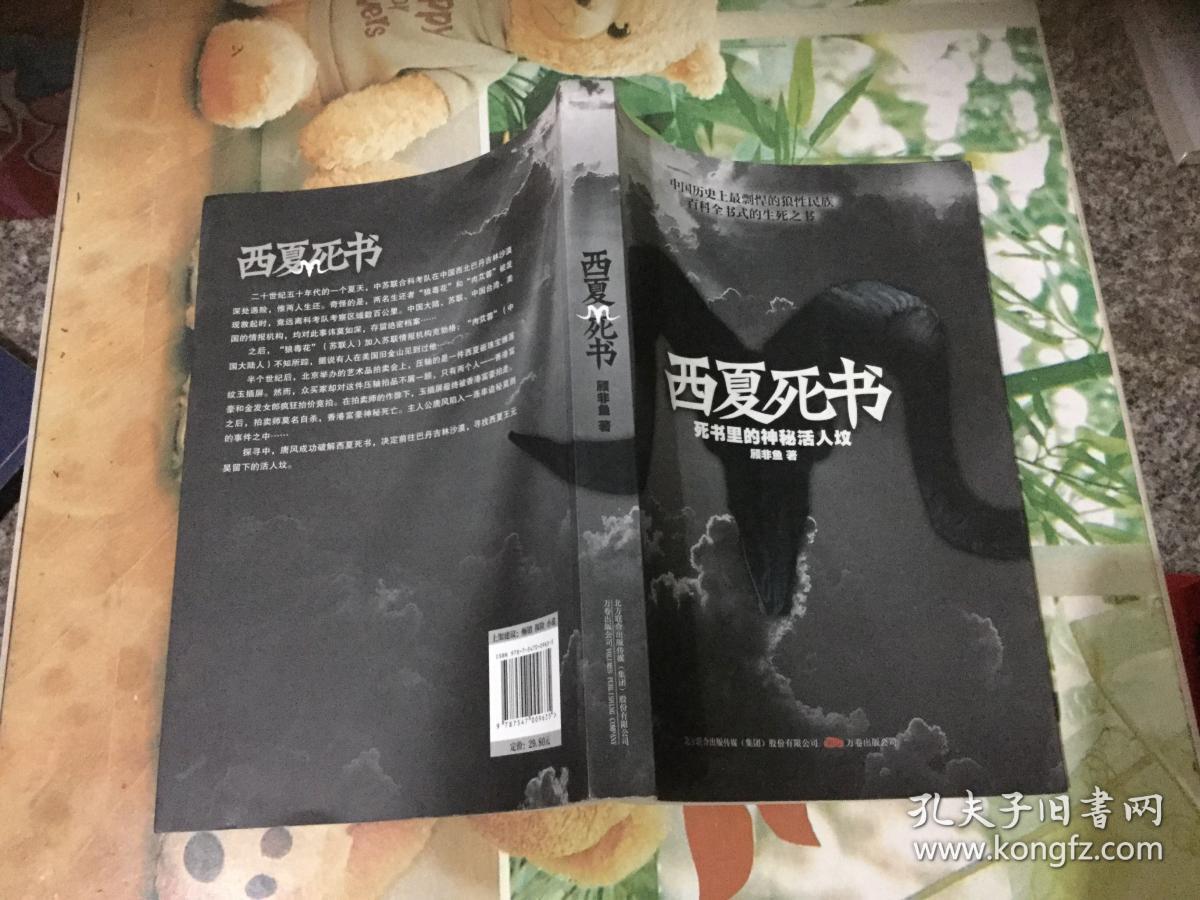 西夏死书(顾非鱼 著)_简介_价格_小说书籍_孔网