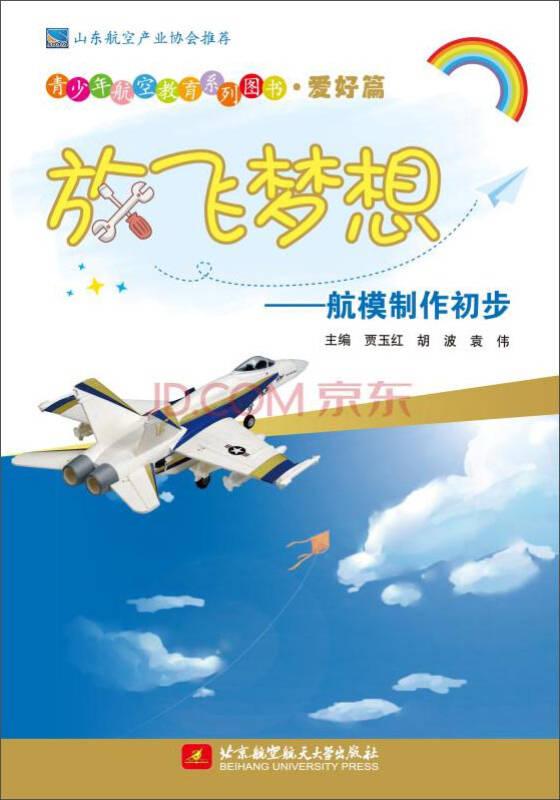 青少年航空教育系列图书·爱好篇·放飞梦想：航模制作初步