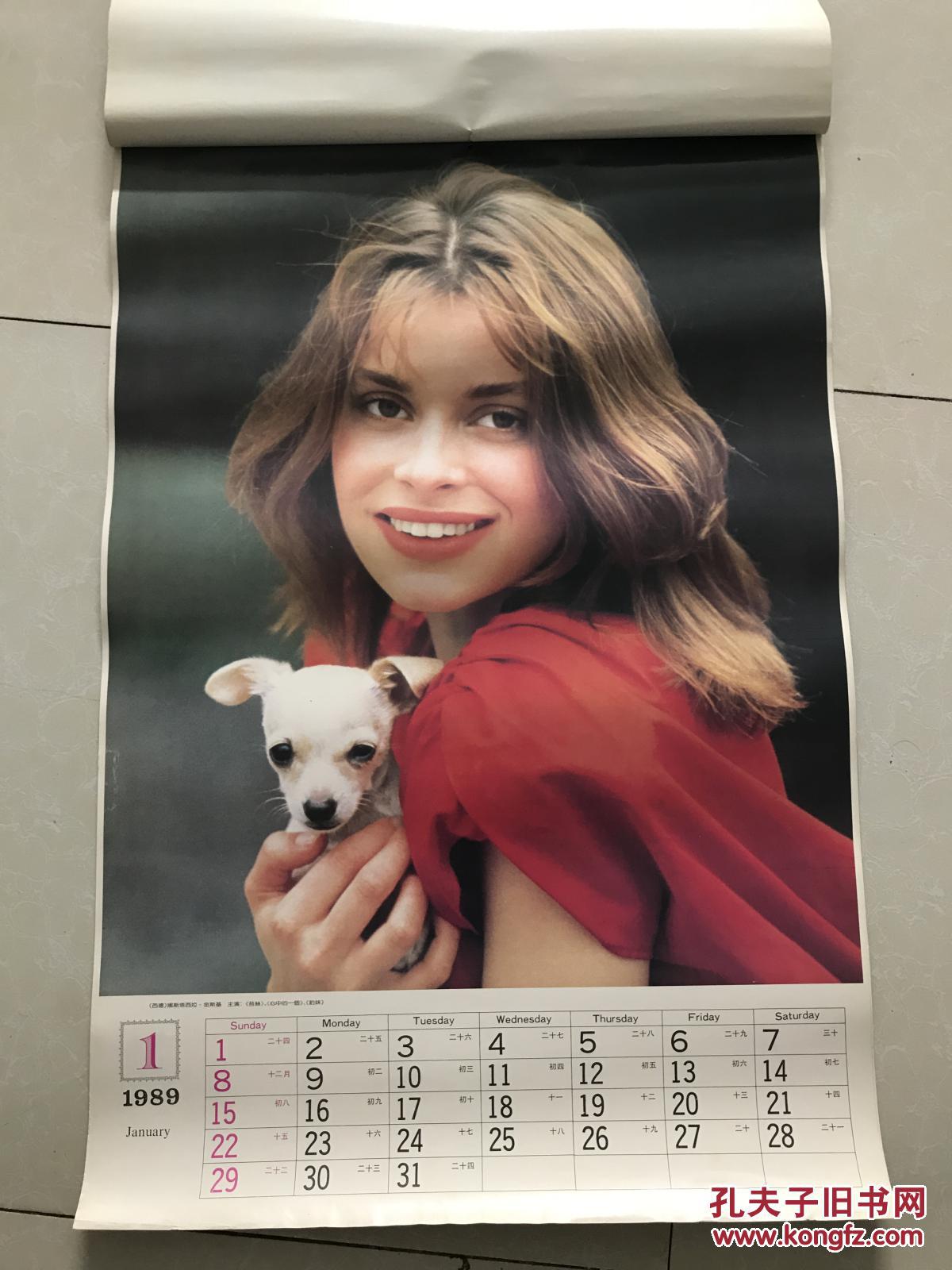 1989年 大明星挂历 波姬小丝 达里尔汉纳 西比尔丹宁 梦露 全13张