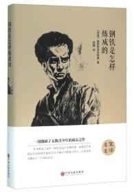 钢铁是怎么炼成的