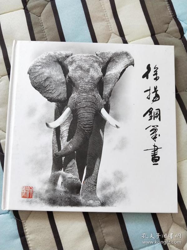 徐扬钢笔画(12开精装)