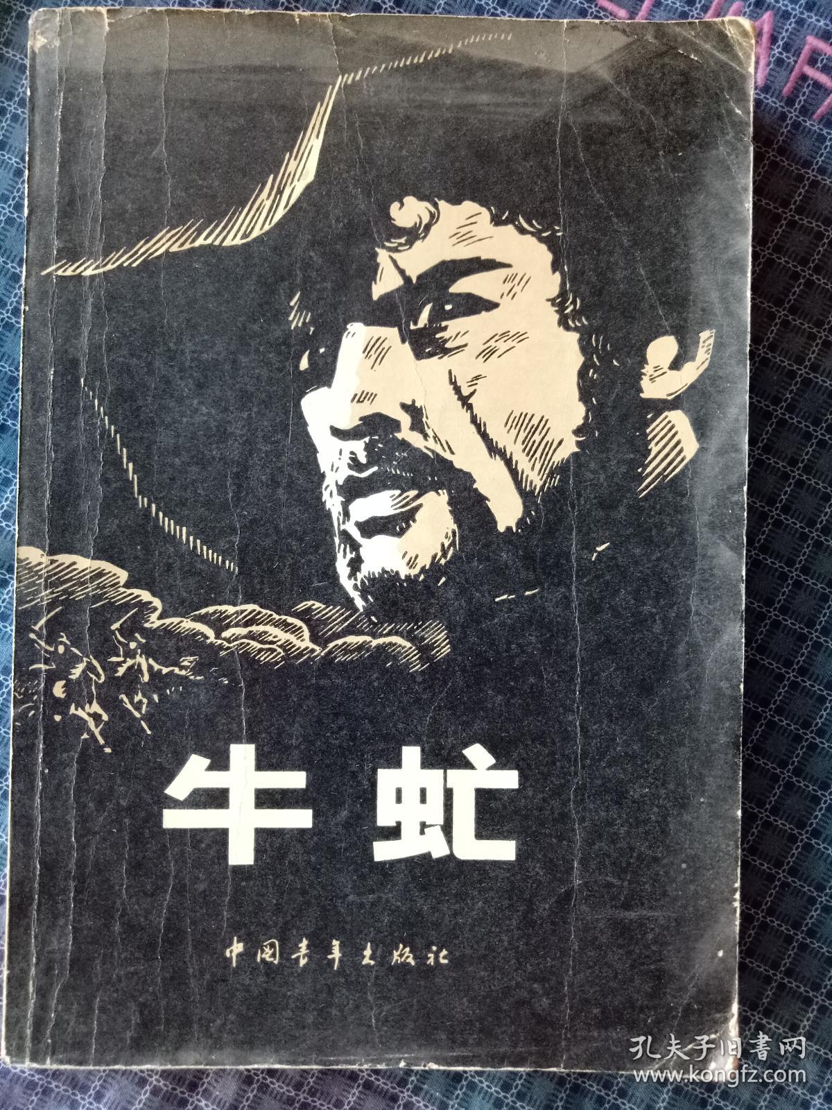 丽.伏尼契长篇小说代表作,1978年北京印刷,著名书画家倪震作插图