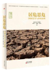 居危思危：国家安全与乡村治理