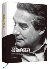 天下大师·帕斯作品：孤独的迷宫