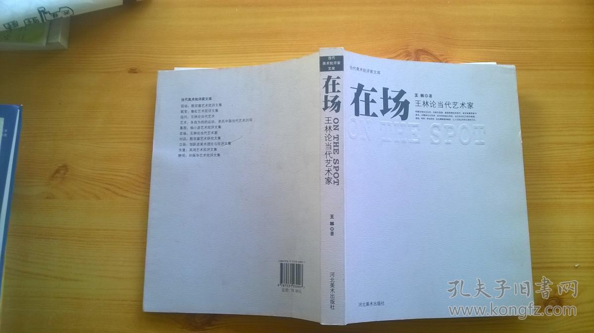 在场 王林论当代艺术家【-28】