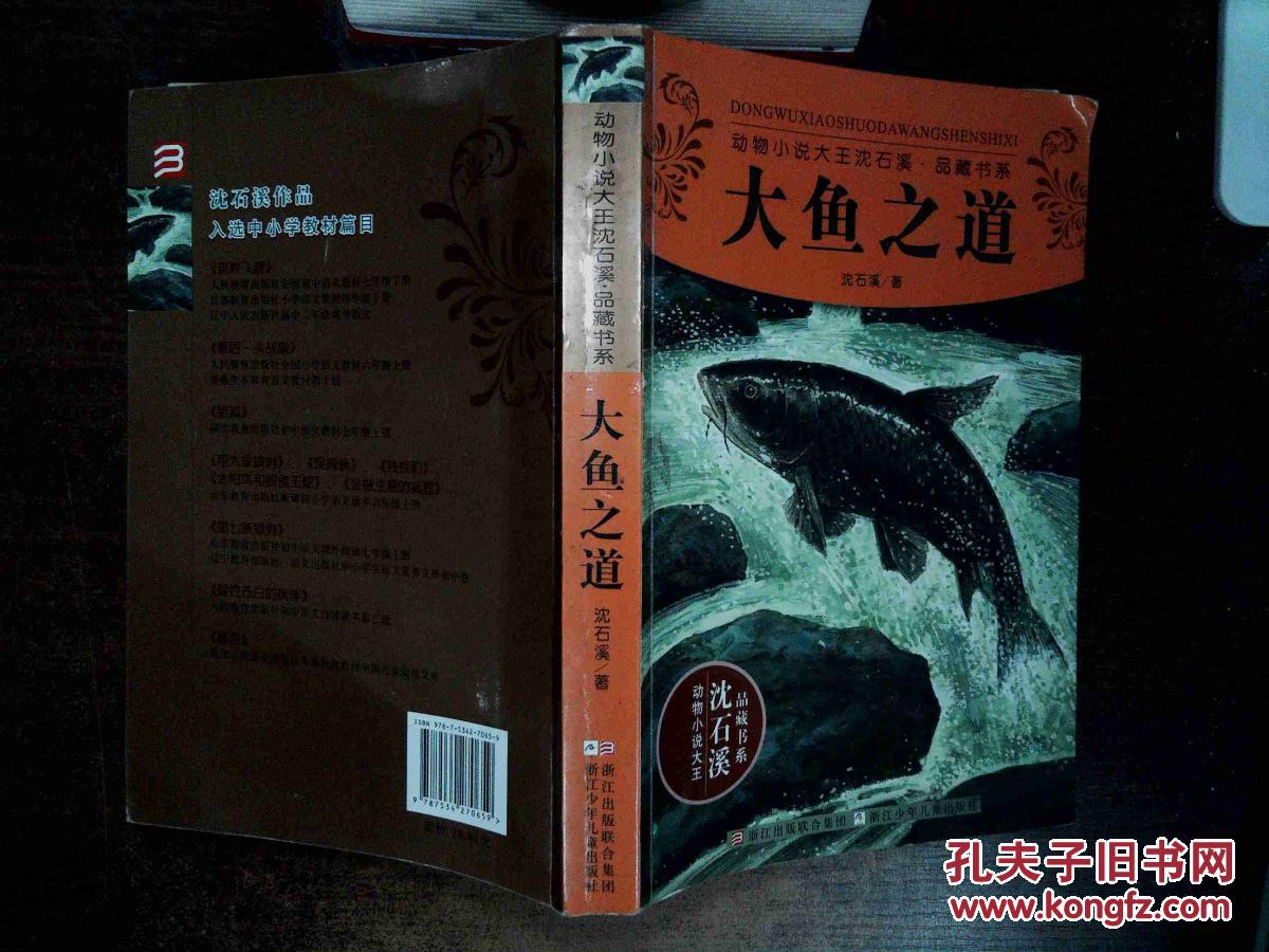 动物小说大王沈石溪·品藏书系:大鱼之道 .