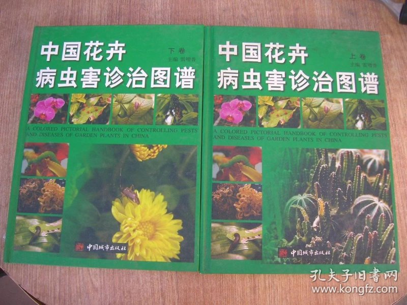 花卉病虫害