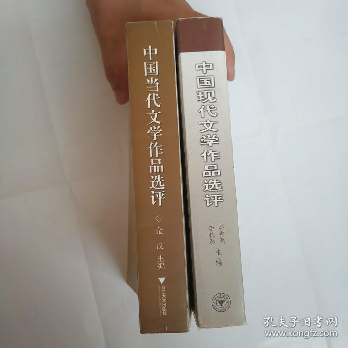 中国现代文学作品选评    中国当代文学作品选评  两册合售