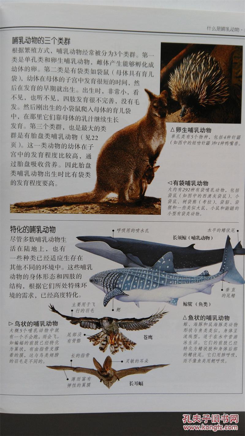 哺乳动物自然珍藏图鉴丛书