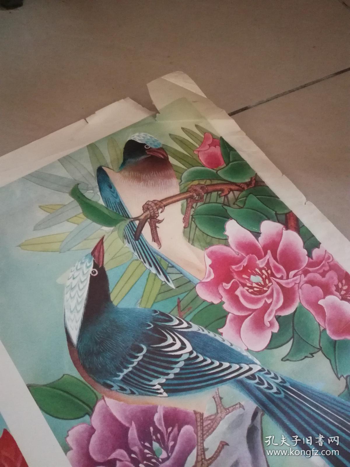 四条屏花卉年画――艳夺天下春【对开2张】