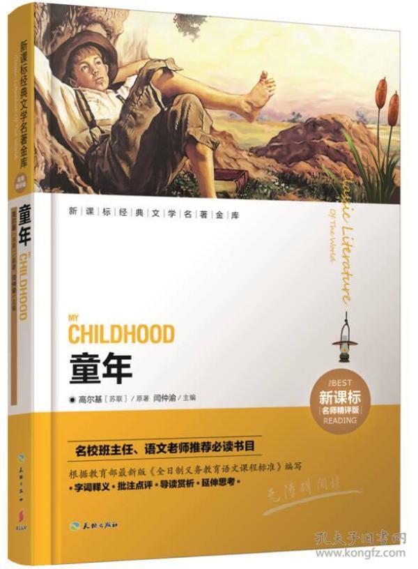 新课标经典文学名著金库.名师精评版:童年(青少年读物)