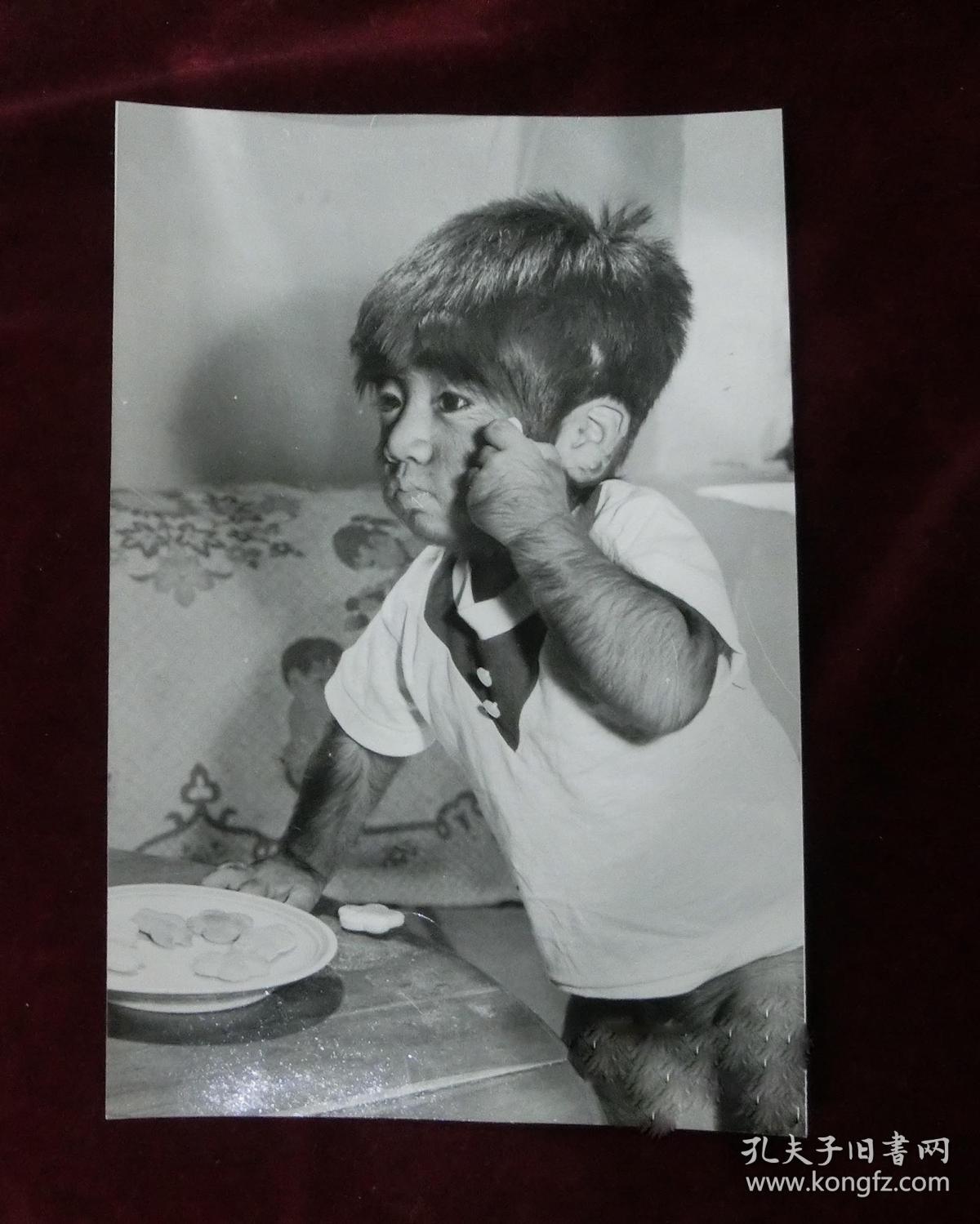 中国第一毛孩于震寰原版照片