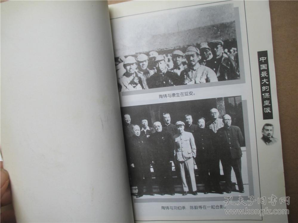 中国最大保皇派 陶铸浮沉录 权延赤著