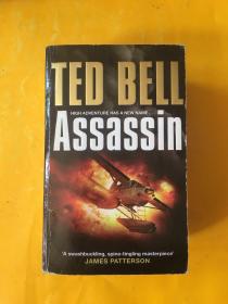 TED BELL ASSASSIN