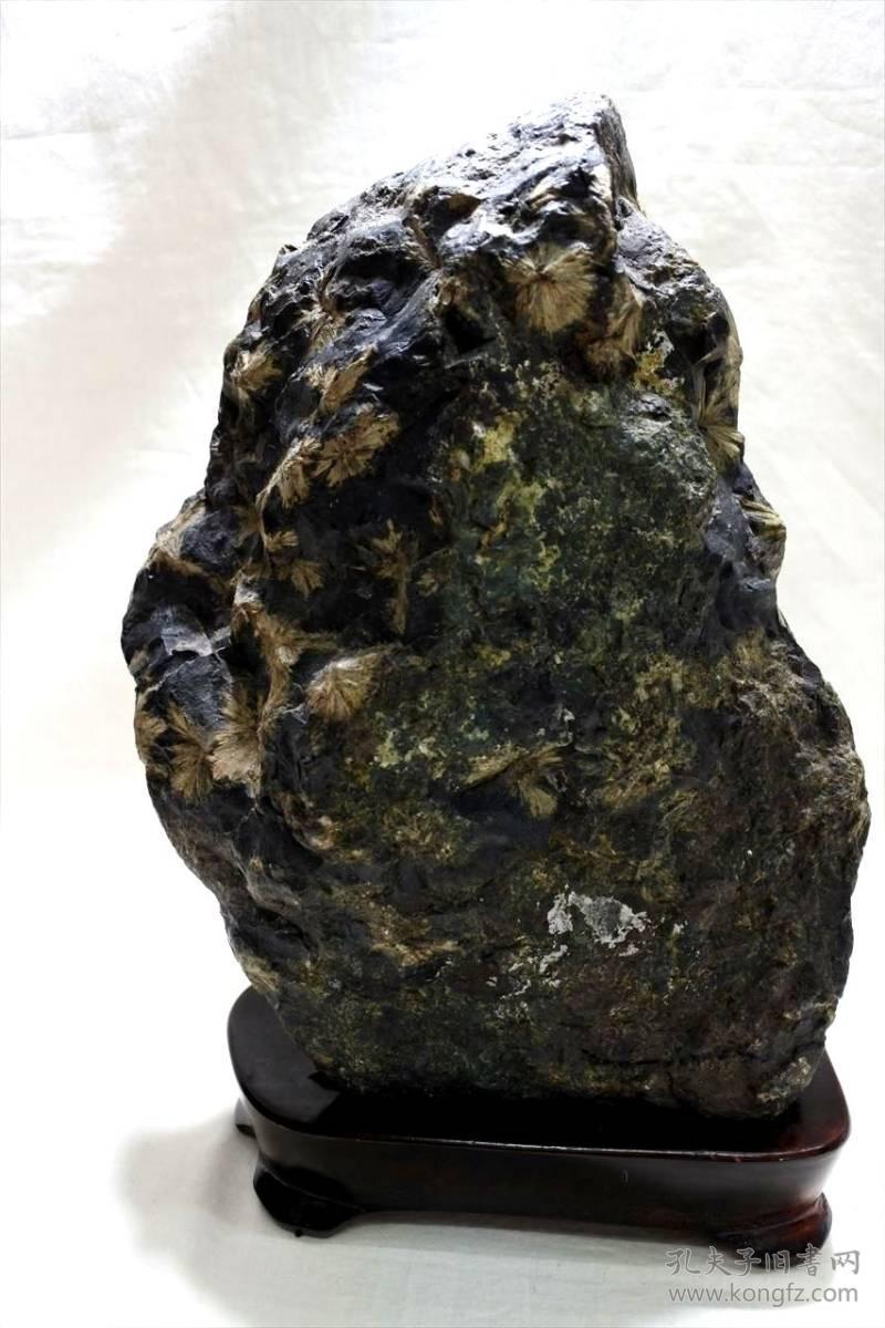 菊花石化石摆件62公斤