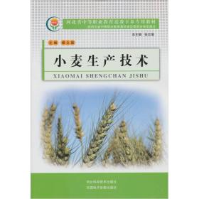 小麦生产技术