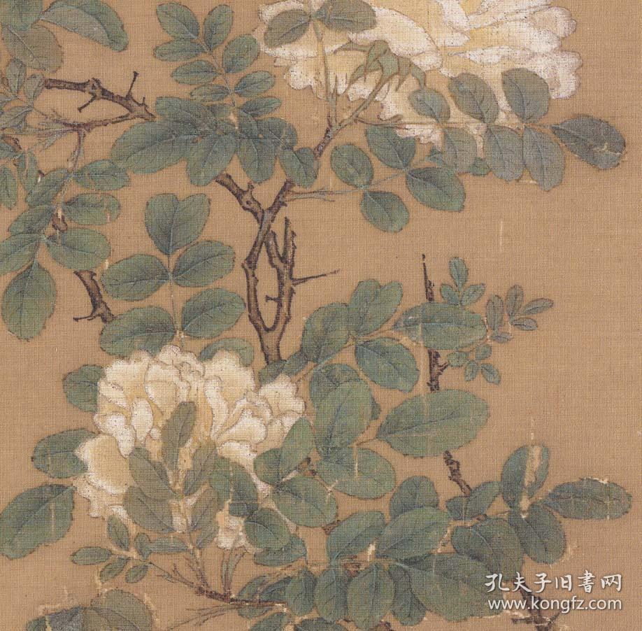 宋画花鸟 马远 白蔷薇图