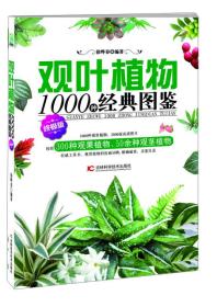 观叶植物1000种经典图鉴