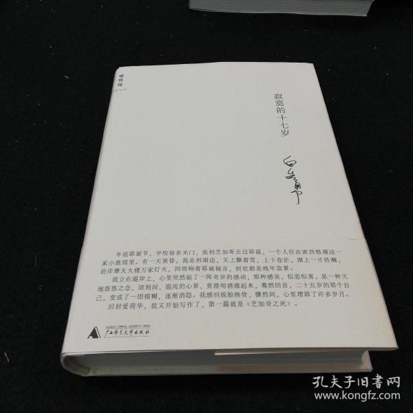寂寞 的 十七 岁