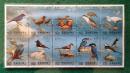 台湾邮票 专296  台湾溪流鸟  1991年 10方连全 新票10品