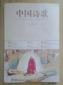 中国诗歌：铜奔马 笫33二零三笫九卷