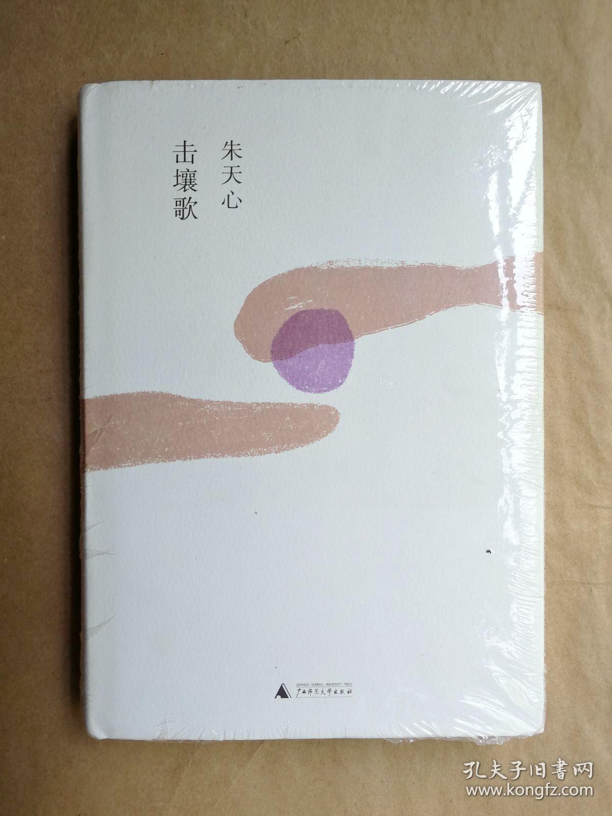 击壤歌 朱天心 著(精装本)