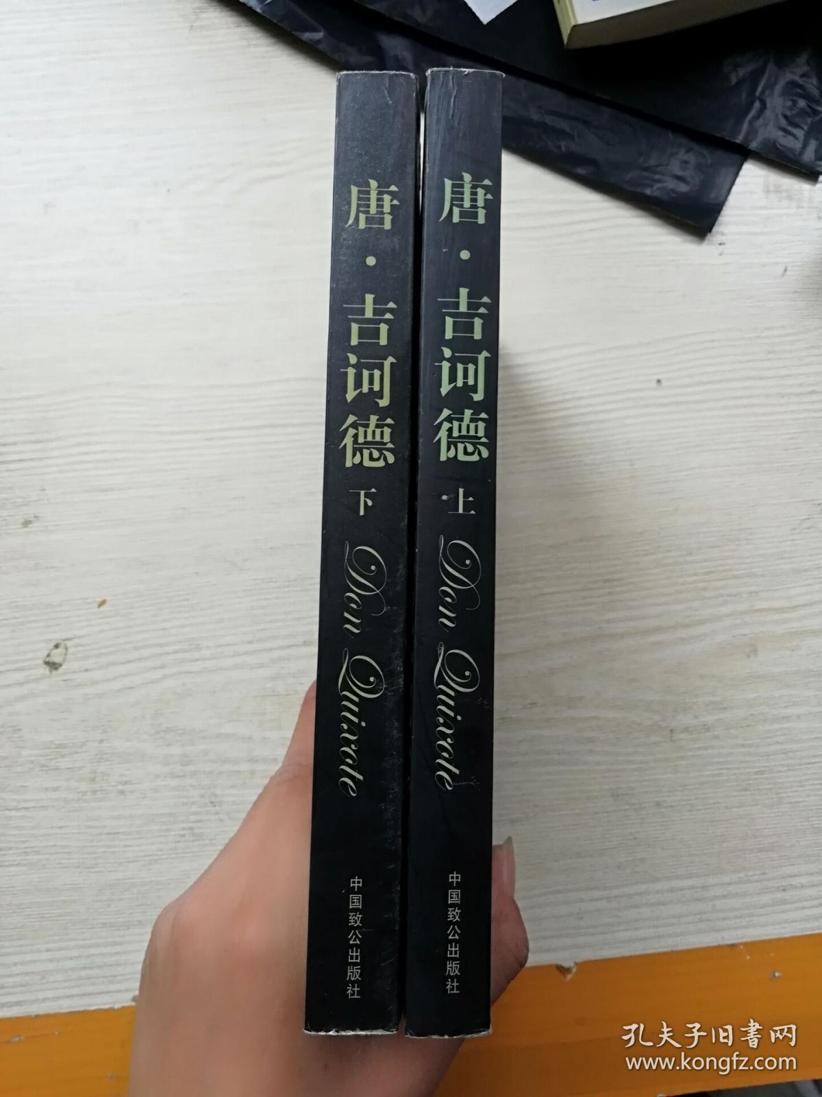 唐吉诃德(上下册)_中国致公出版社_孔夫子旧书网