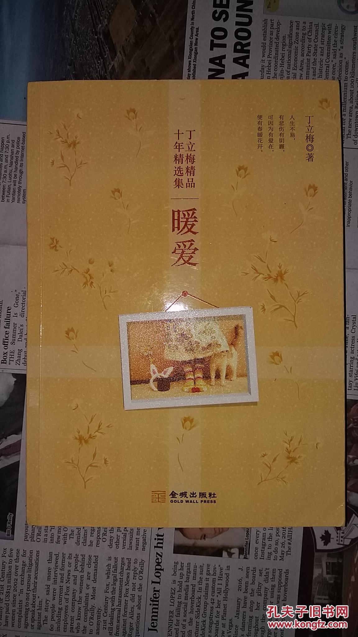 丁立梅精品十年精选集:暖爱