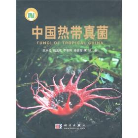 中国热带真菌