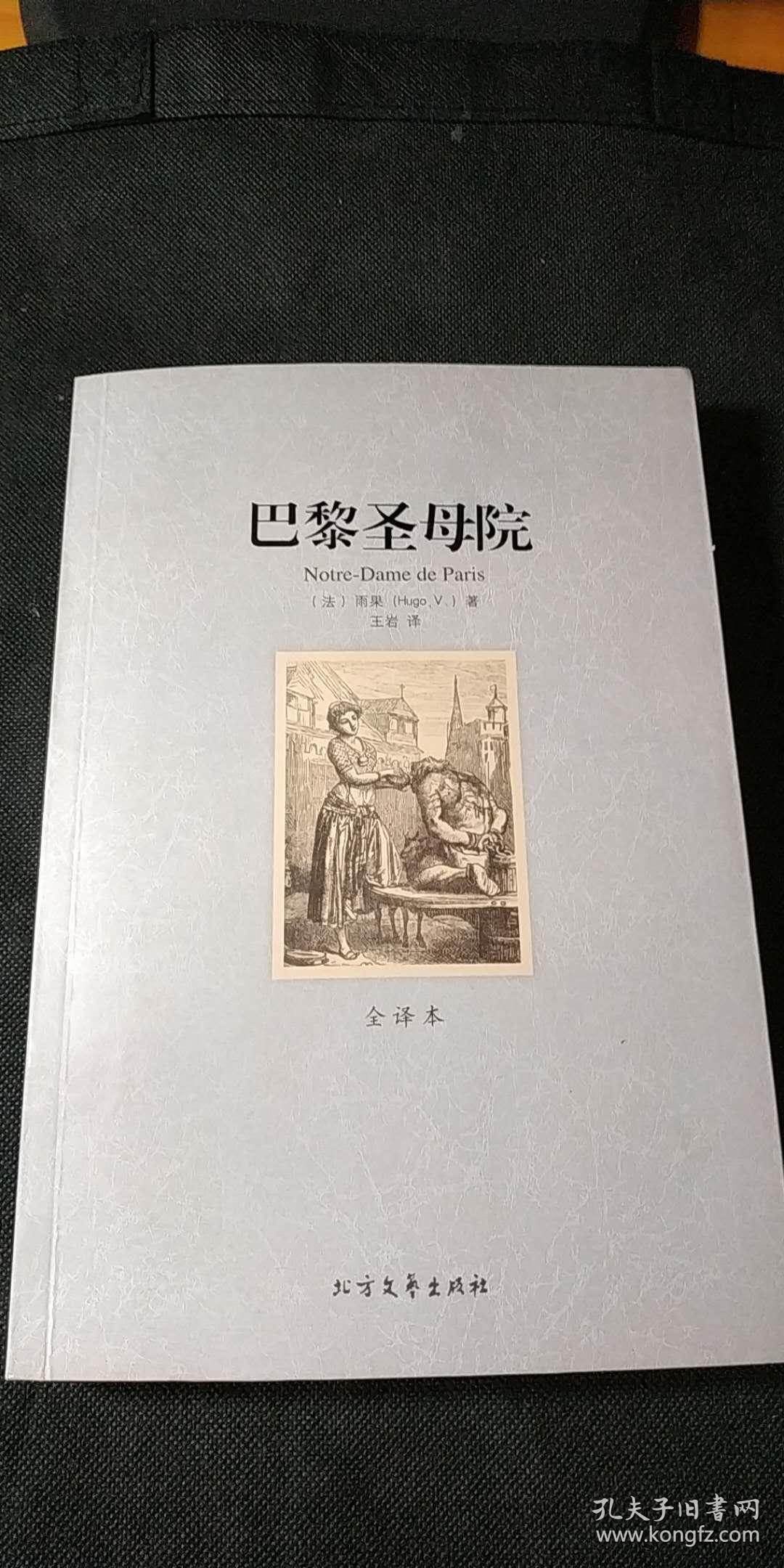 世界文学名著:巴黎圣母院