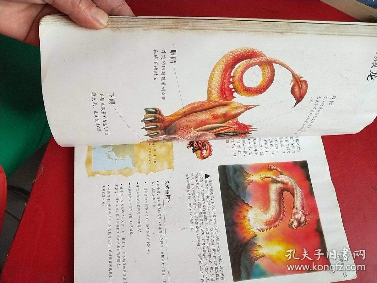 龙-神话传说中的生物_[英]麦克考尔 编;茶健 译_孔夫子旧书网