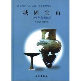 城固宝山——1998年发掘报告(精)