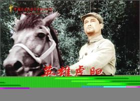 中国革命史百年影视全纪录：英雄虎胆