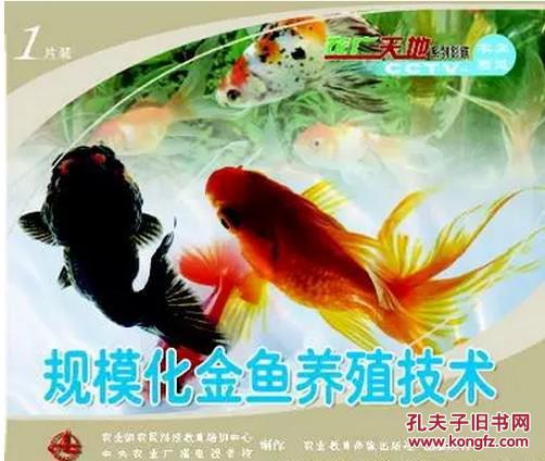 金鱼养殖技术大全 金鱼的饲养技术 金鱼繁殖疾病防治3光盘2本书籍 孔夫子旧书网