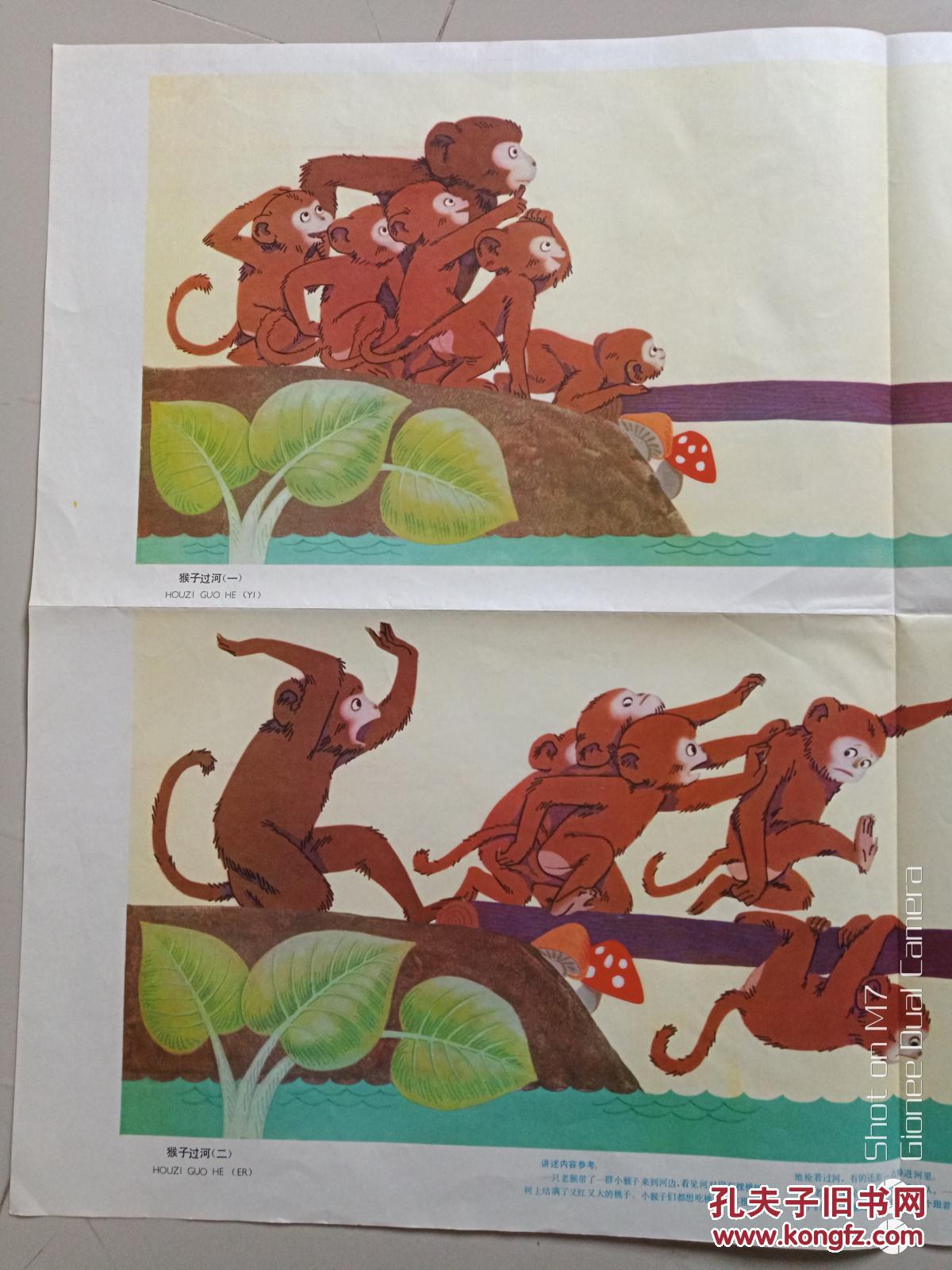 幼儿园看图讲述教育挂图--猴子吃桃过河2