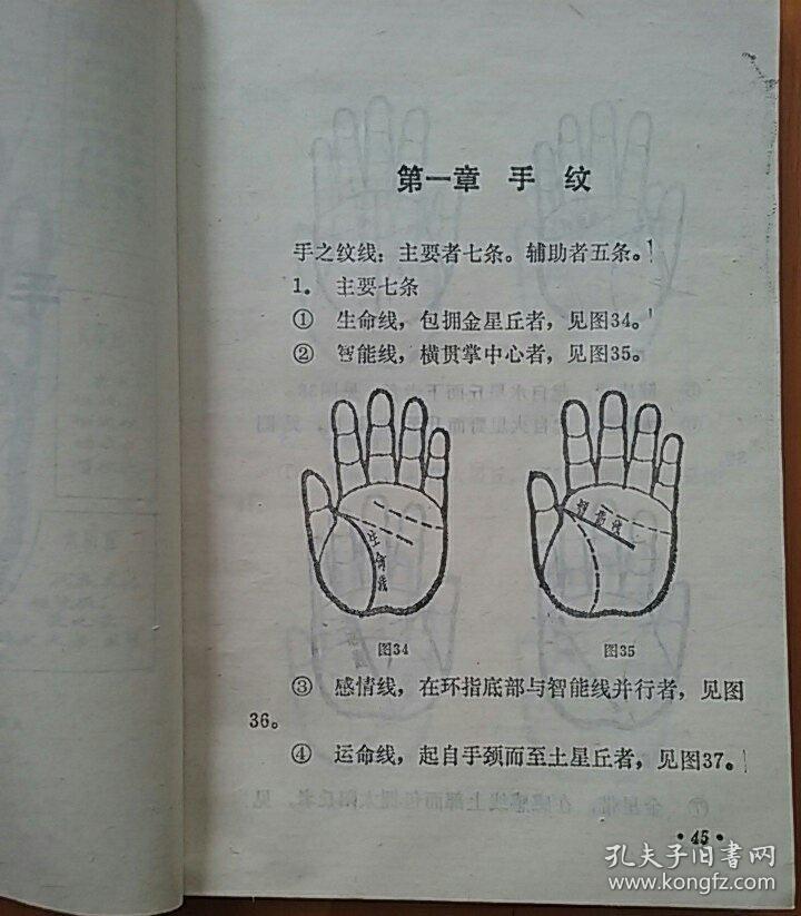 手相学图解