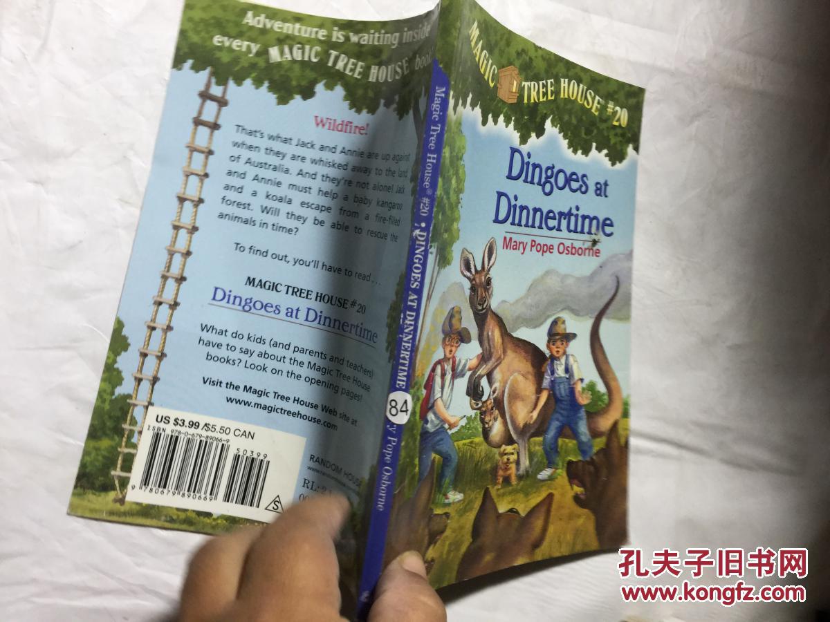 dingoes at dinnertime . .